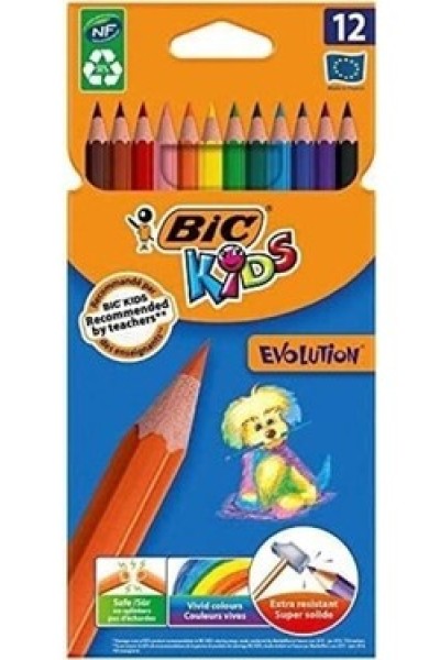 Bic Kids 12 Renk Kuru Boya