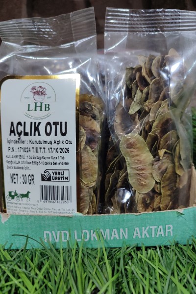 AÇLIK OTU