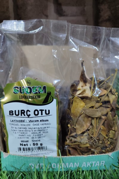 BURÇ OTU