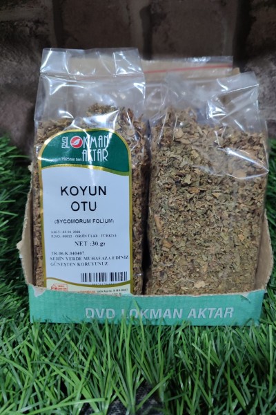 KOYUN OTU