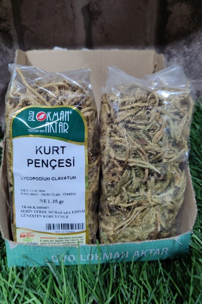 KURT PENÇESİ OTU