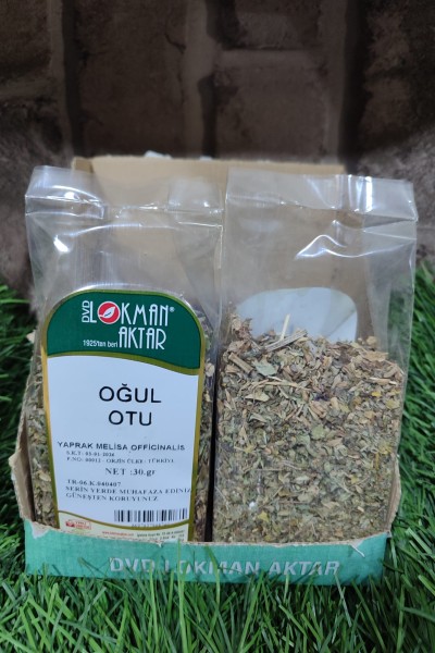 OĞUL OTU