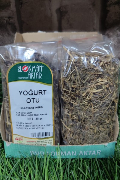 YOĞURT OTU