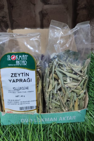 ZEYTİN YAPRAĞI