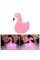 LED Işıklı Flamingo Masa Lambası LED Işıklı Flamingo Masa Lambası
