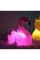 LED Işıklı Flamingo Masa Lambası LED Işıklı Flamingo Masa Lambası
