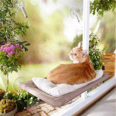 Cama Asılan Kedi Yatağı Cama Asılan Kedi Yatağı