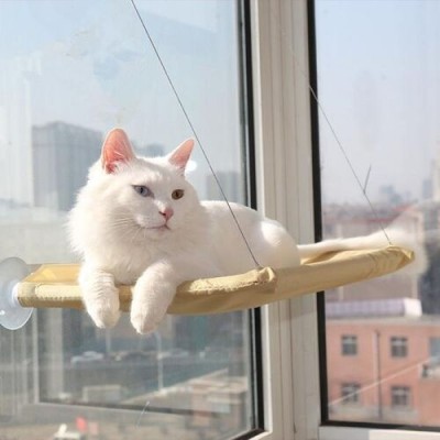 Cama Asılan Kedi Yatağı Cama Asılan Kedi Yatağı