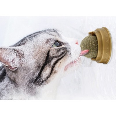 Kedi Otu Oyun Topu Kedi Otu Oyun Topu