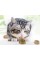 Kedi Otu Oyun Topu Kedi Otu Oyun Topu
