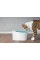 Otomatik Uyarılı Kedi Köpek Su Kabı Otomatik Uyarılı Kedi Köpek Su Kabı