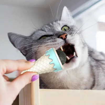 Dondurma Şeklinde Kedi Otu Nanesi Dondurma Şeklinde Kedi Otu Nanesi
