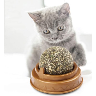 Kedi Nanesi Oyun Topu Kedi Nanesi Oyun Topu