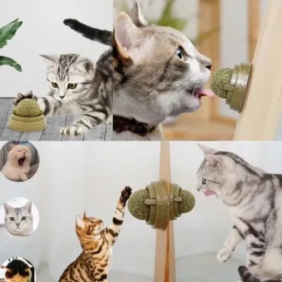Kedi Nanesi Oyun Topu Kedi Nanesi Oyun Topu