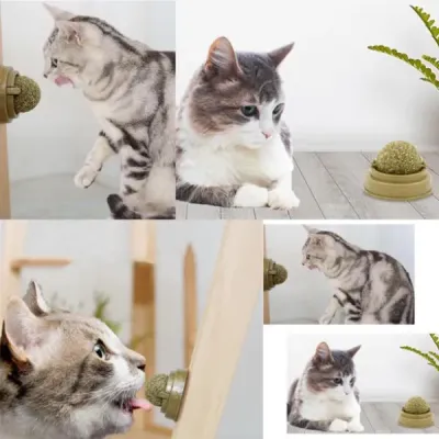 Kedi Nanesi Oyun Topu Kedi Nanesi Oyun Topu