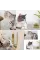Kedi Nanesi Oyun Topu Kedi Nanesi Oyun Topu