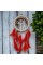 Rüya Kovan Hayat Ağacı Dream Catcher Rüya Kovan Hayat Ağacı Dream Catcher