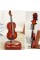 Hareketli Violin Müzik Kutusu