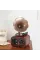 Gramofon Müzik Kutusu