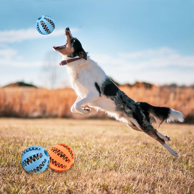 Mama Hazneli Köpek Eğitim Ve Oyun Topu Mama Hazneli Köpek Eğitim Ve Oyun Topu