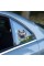 Fulcar British Araç Stickerı Fulcar British Araç Stickerı
