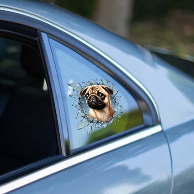 Fulcar French Bulldog Araç Stickerı Fulcar French Bulldog Araç Stickerı