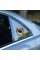 Fulcar French Bulldog Araç Stickerı Fulcar French Bulldog Araç Stickerı