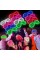 Glow Işıklı Panjur Parti Gözlüğü 12 Adet Glow Işıklı Panjur Parti Gözlüğü 12 Adet