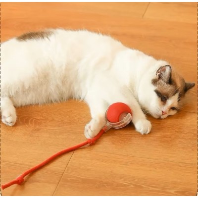 Şarjlı Kedi Oyuncağı Şarjlı Kedi Oyuncağı