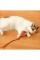 Şarjlı Kedi Oyuncağı Şarjlı Kedi Oyuncağı