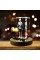 3D Kristal İnsan İskeleti Modeli 3D Kristal İnsan İskeleti Modeli
