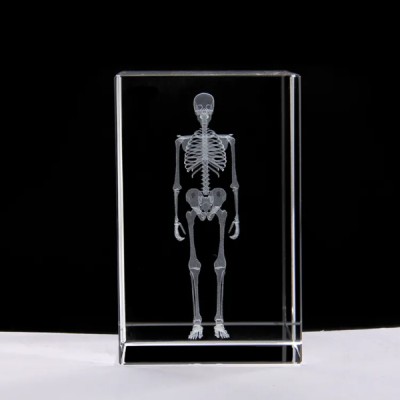 3D Kristal İnsan İskeleti Modeli 3D Kristal İnsan İskeleti Modeli