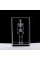 3D Kristal İnsan İskeleti Modeli 3D Kristal İnsan İskeleti Modeli