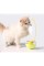 Zilli Kedi Otlu Hacıyatmaz Oyuncağı Zilli Kedi Otlu Hacıyatmaz Oyuncağı