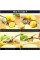 Paslanmaz Çelik Limon Sıkacağı Paslanmaz Çelik Limon Sıkacağı