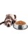 Paslanmaz Çelik Metal Mama Kabı 30 cm. Paslanmaz Çelik Metal Mama Kabı 30 cm.