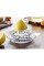 Cam Limon Sıkacağı Cam Limon Sıkacağı