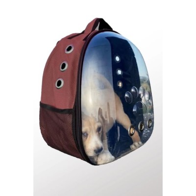 Deri Astronot Kedi Ve Köpek Taşıma Çantası Bordo Renk Deri Astronot Kedi Ve Köpek Taşıma Çantası Bordo Renk