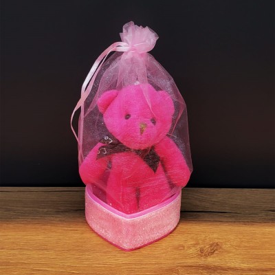 Pembe Hediyelik Kese İçinde Ayıcık Pembe Hediyelik Kese İçinde Ayıcık