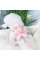 Evcil Hayvan Peluş Ayıcıklı Göğüs Gezdirme Tasması Set Evcil Hayvan Peluş Ayıcıklı Göğüs Gezdirme Tasması Set